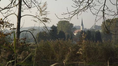 Nature against the Autobahn, Bild 10